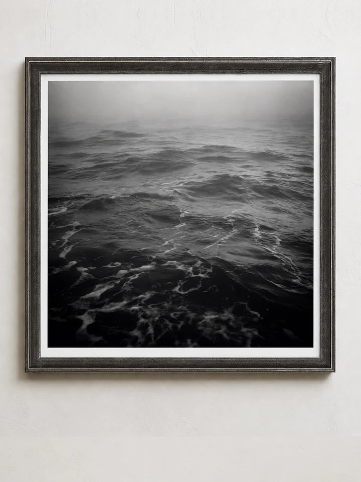Photography collection cover
