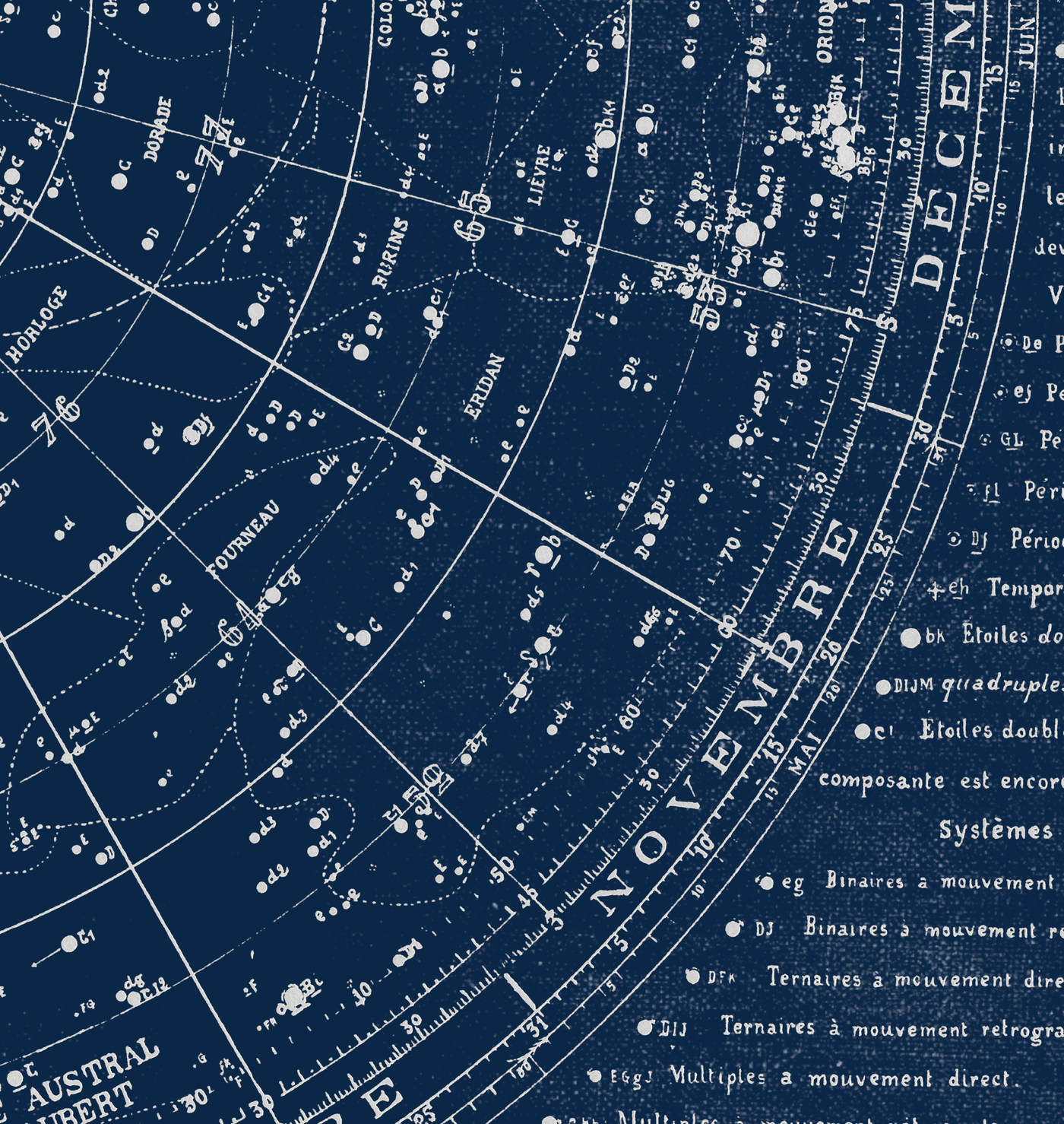 Star Map celestial wall art. Shop Archive Print Co.