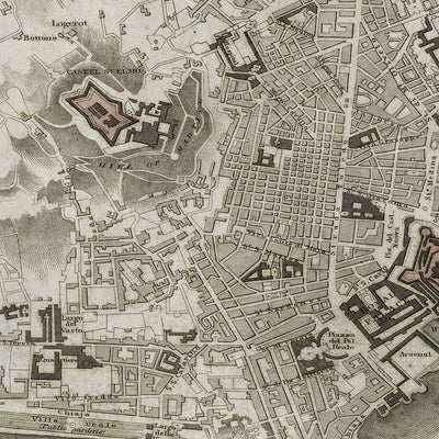 Old Naples map wall art. Shop Archive Print Co.