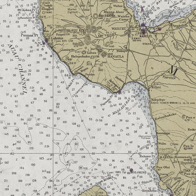 Old Maui nautical chart vintage wall art. Shop Archive Print Co.
